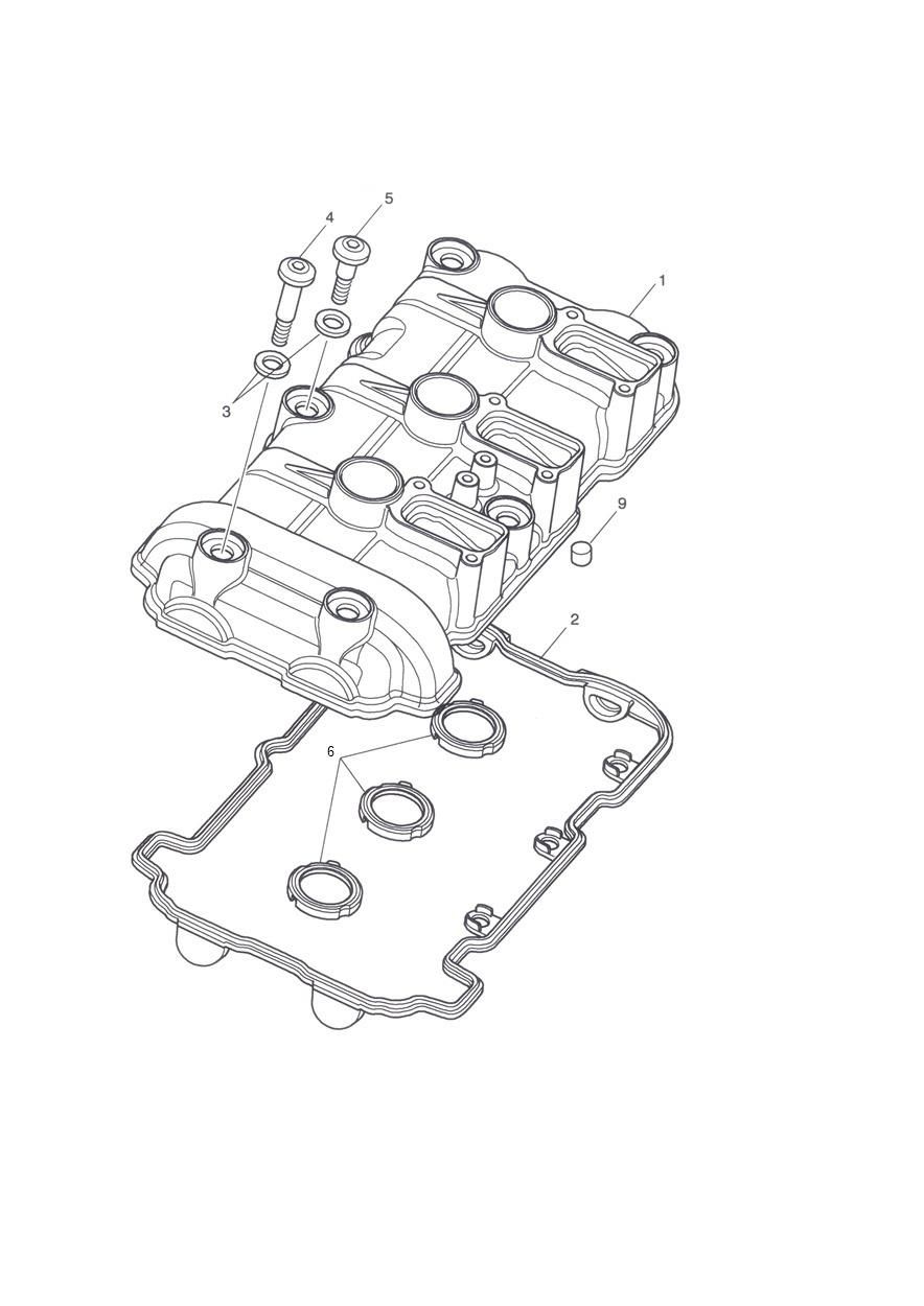 CACHE CULASSE POUR SPEED TRIPLE 94 2016