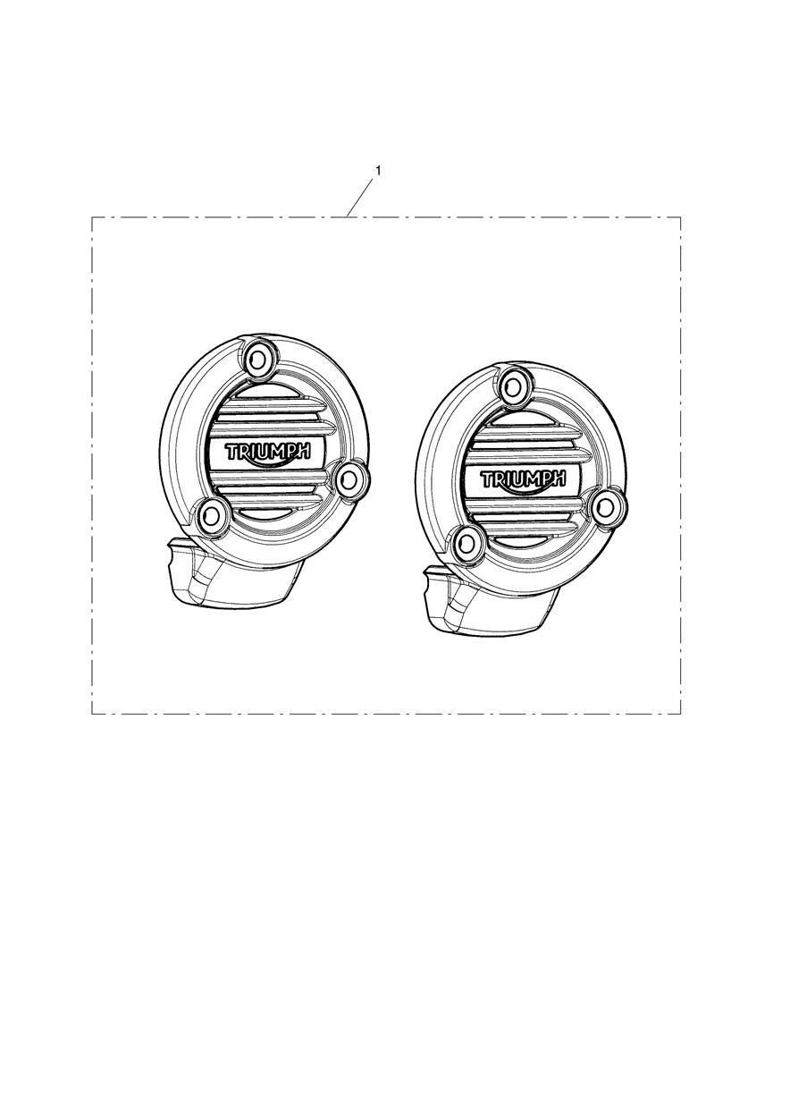 CACHE TPS NERVURE BROSSE POUR BONNEVILLE BOBBER 2017