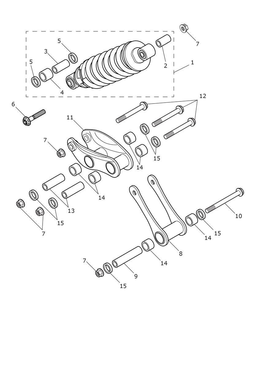 SUSPENSION ARRIERE POUR TRIDENT 2021