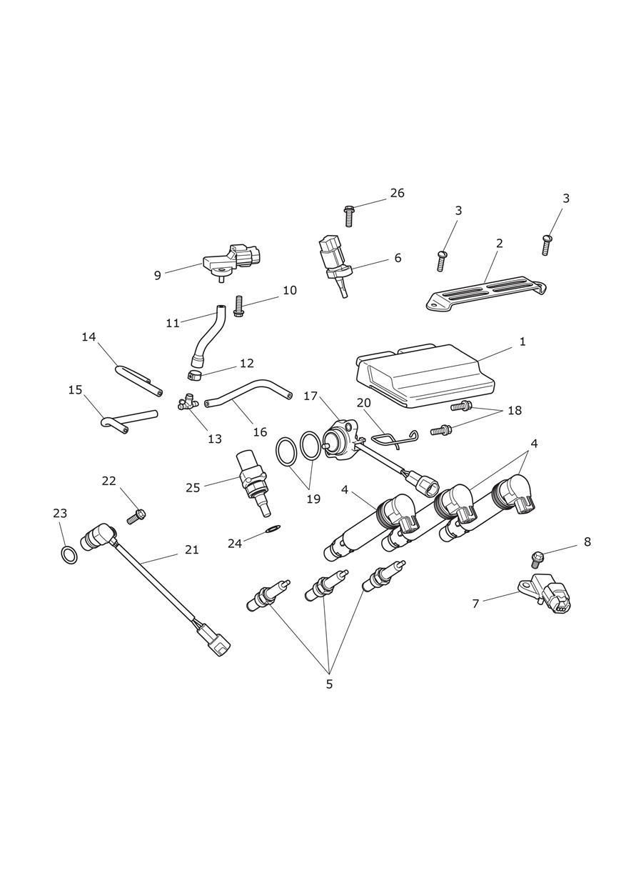 SYSTEME DE GESTION DU MOTEUR POUR STREET TRIPLE R 2009