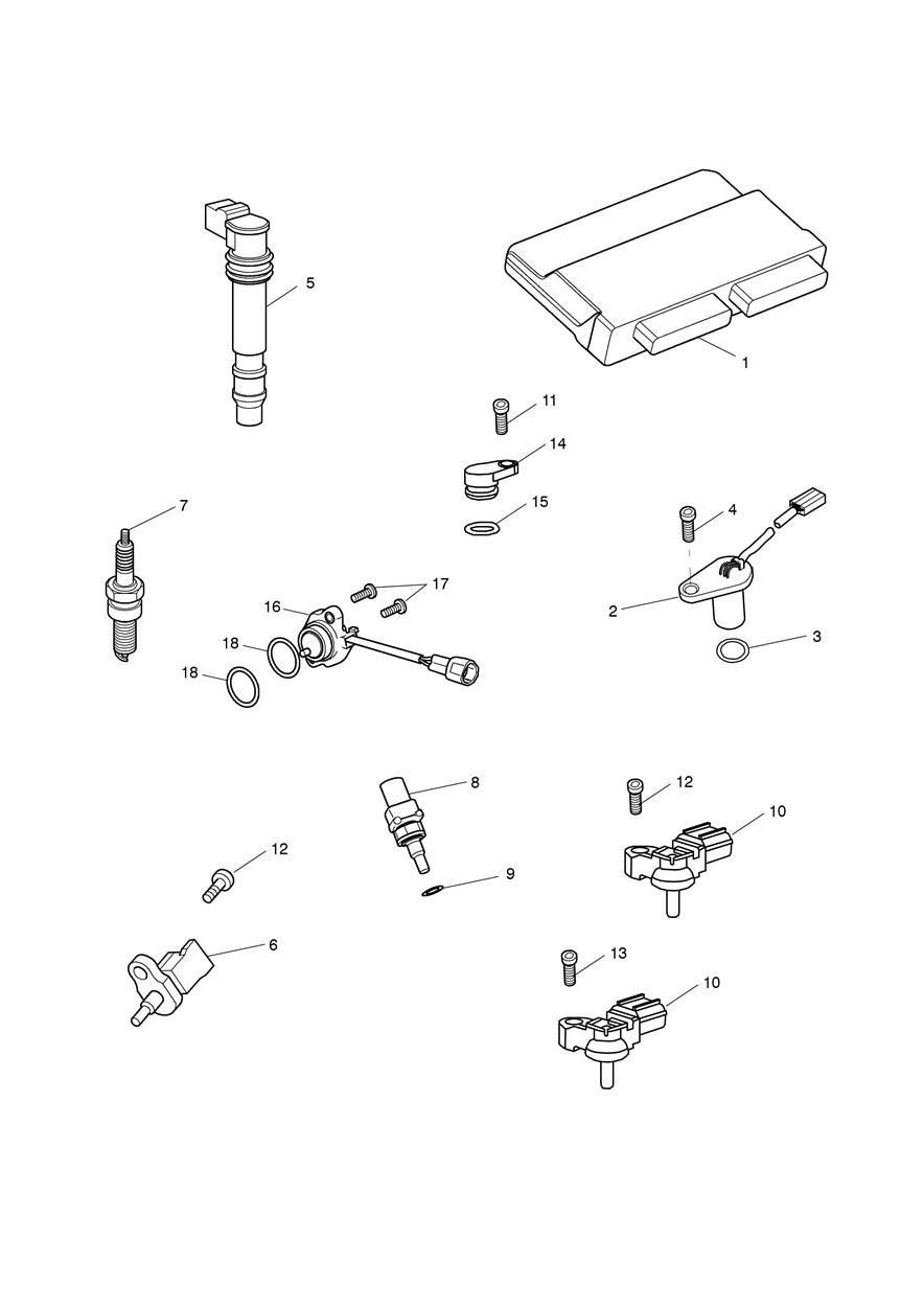 SYSTEME DE GESTION DU MOTEUR POUR SPEED TRIPLE S 2016