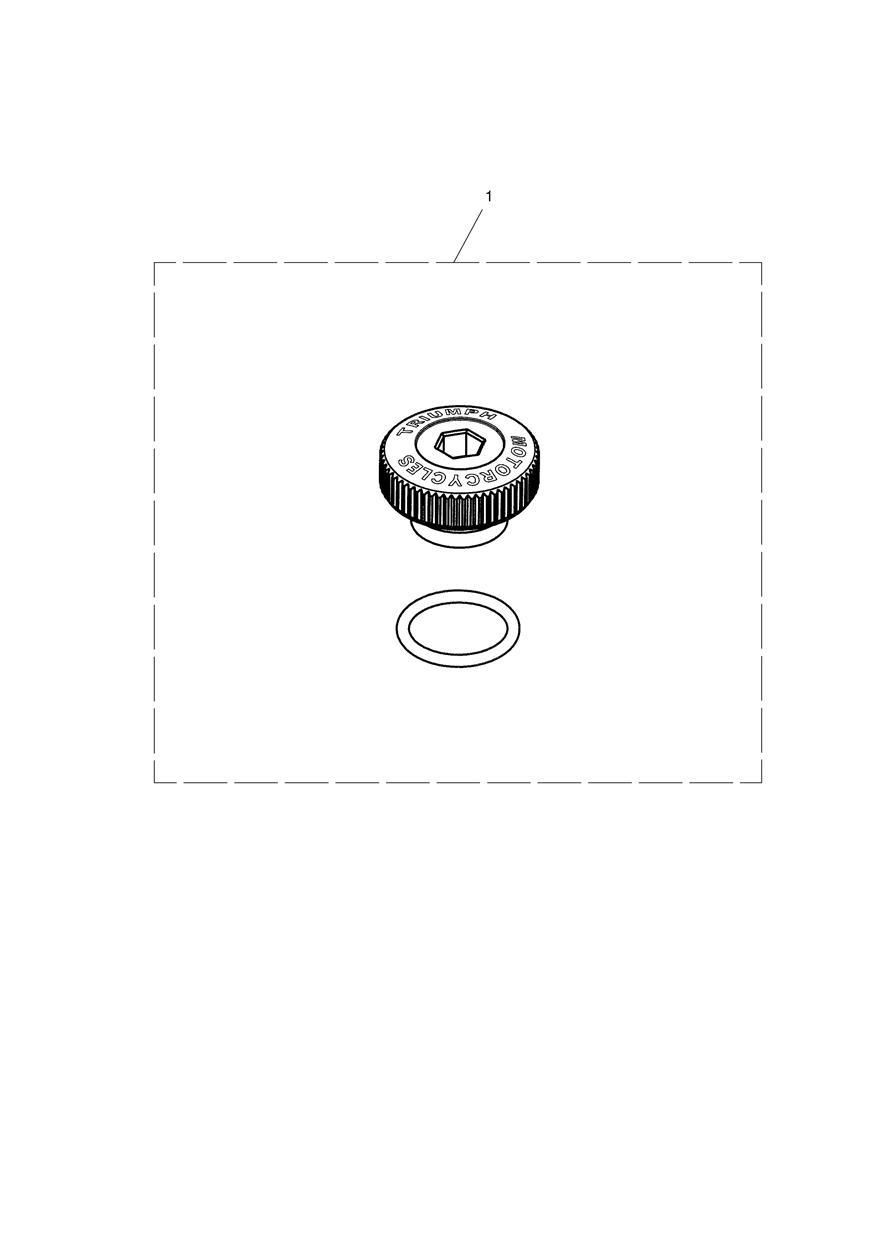 BOUCHON DE REMPLISSAGE D HUILE USINE GRIS METALIQUE FONCE POUR BONNEVILLE BOBBER E5 VB 2025