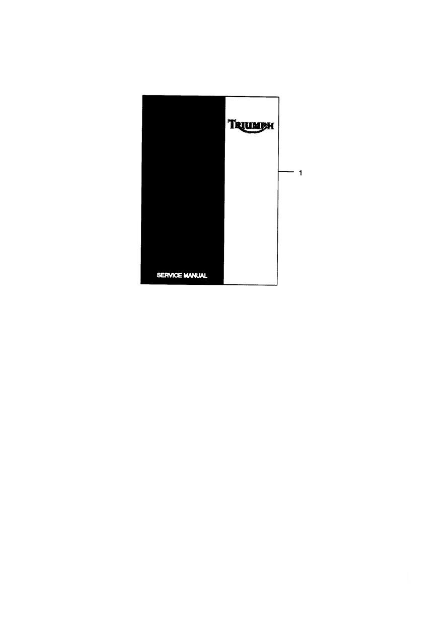DOCUMENTATION DE SERVICE POUR DAYTONA 955 2002