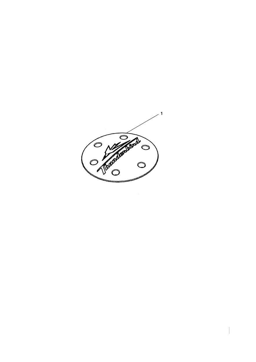 COUVERTURE EMBELLISSEUR TYPE 1 POUR THUNDERBIRD 2010