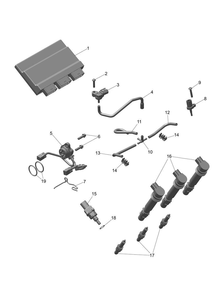 GESTION DU MOTEUR POUR DAYTONA 660 LAMS 2024