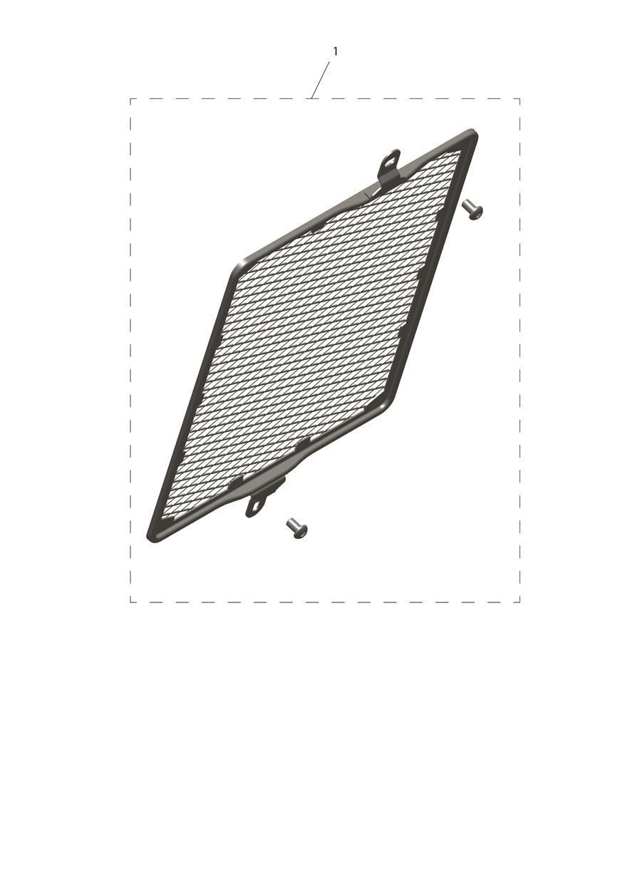GRILLE DE RADIATEUR POUR SPEED 400 2024