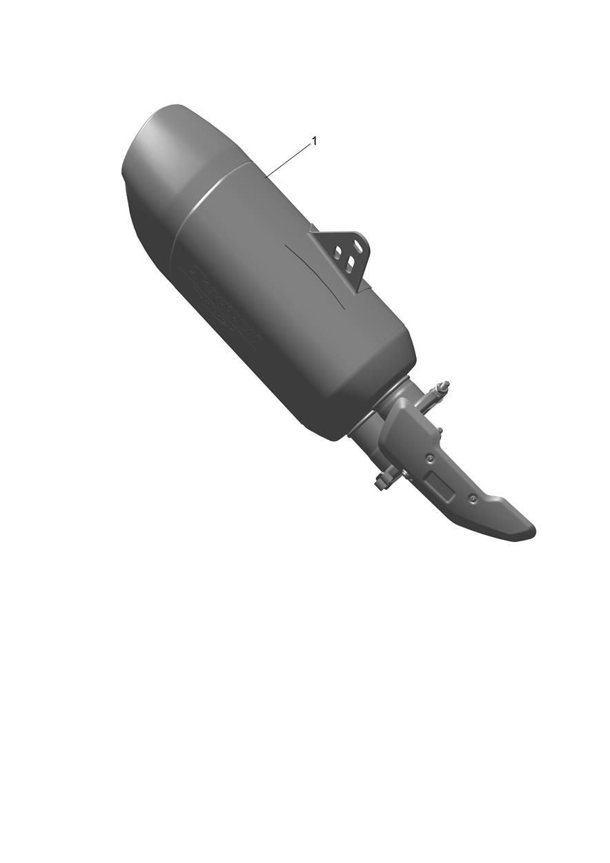 SILENCIEUX TITANE POUR SPEED TRIPLE RS 2025