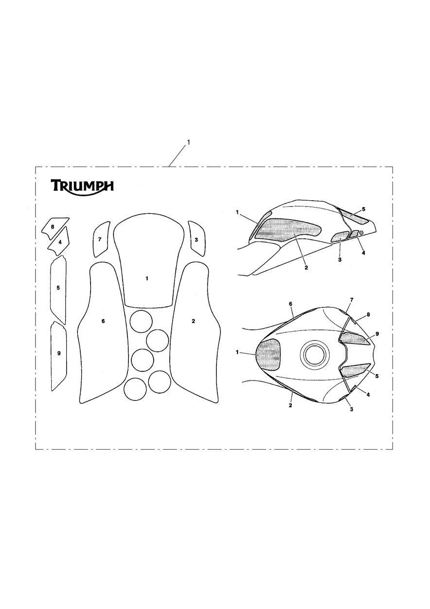 KIT DE PROTECTION PEINTURE TYPE 17 POUR SPEED TRIPLE 94 2016