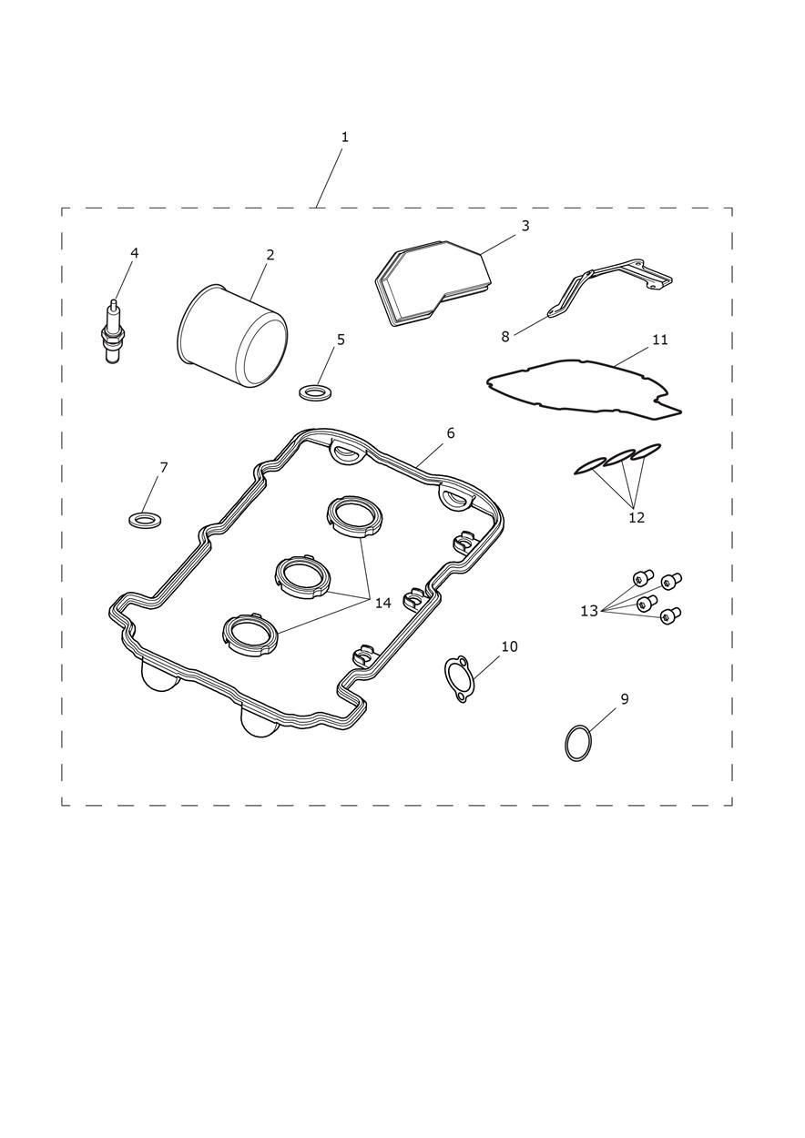 KIT DE SERVICE MOTEUR POUR SPEED TRIPLE R 2016