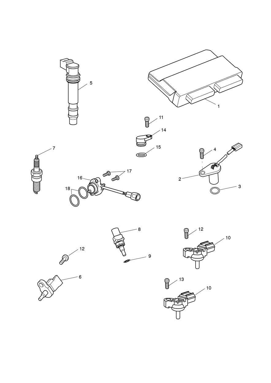 SYSTEME DE GESTION DU MOTEUR POUR SPEED TRIPLE R 2016