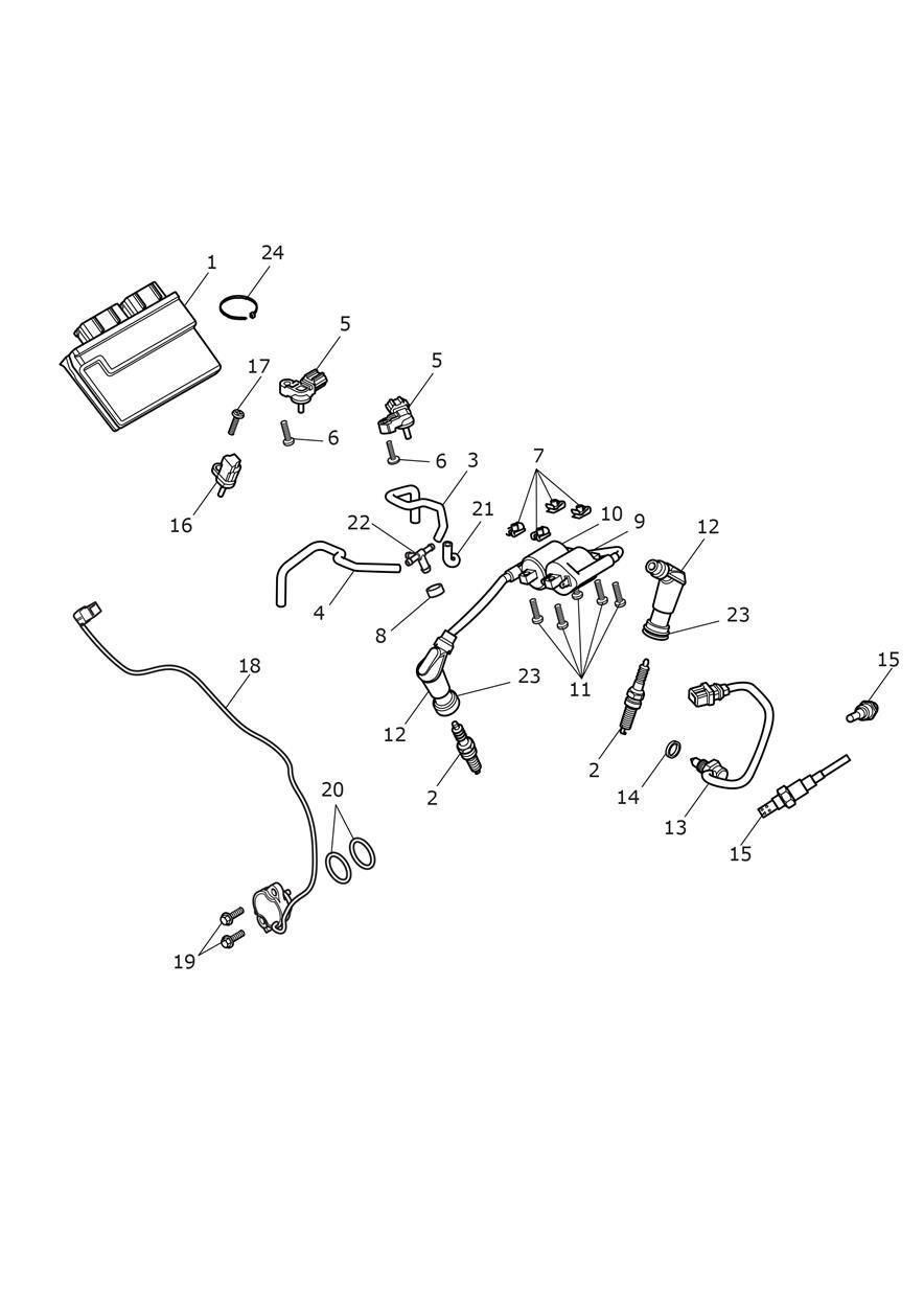 SYSTEME DE GESTION DU MOTEUR POUR SPEED TWIN 2021