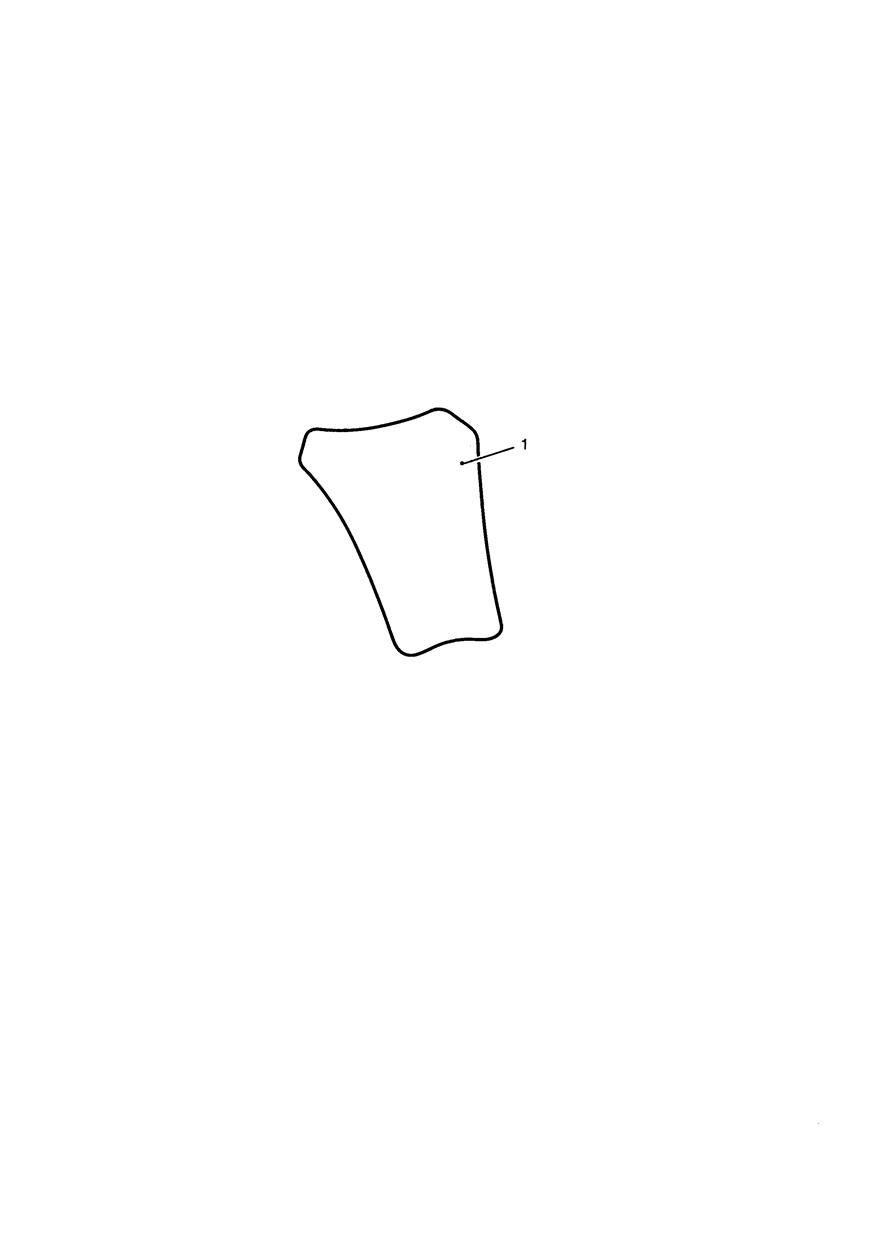 PATIN POUR RESERVOIR CARBONE POUR SPEED TRIPLE 1050CCM 2005